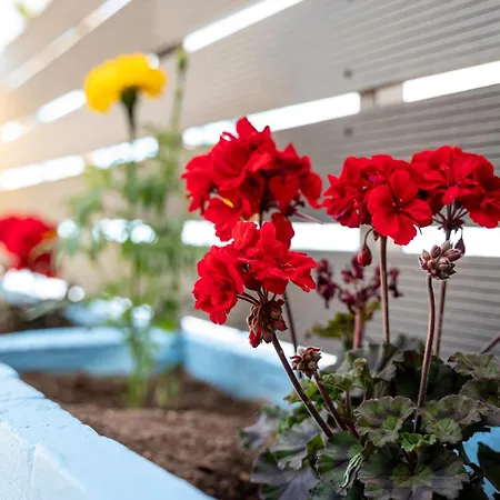 アパート Sun & Waves Beachfront ランピ