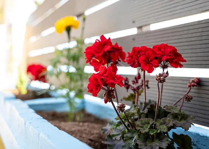 Apartament Sun & Waves Beachfront Lambi (Kos)