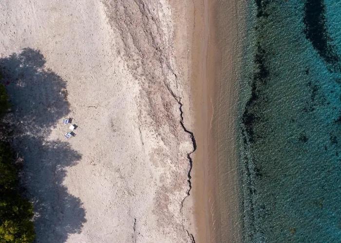 公寓 Sun & Waves Beachfront *